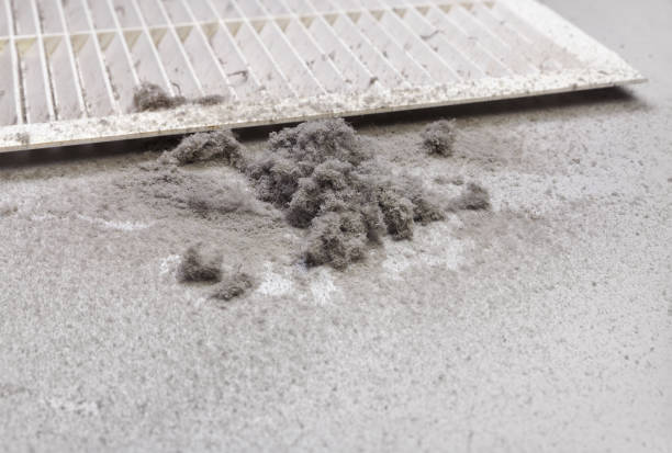 Best Best Air Duct Cleaning Company  in New Carlisle, OH