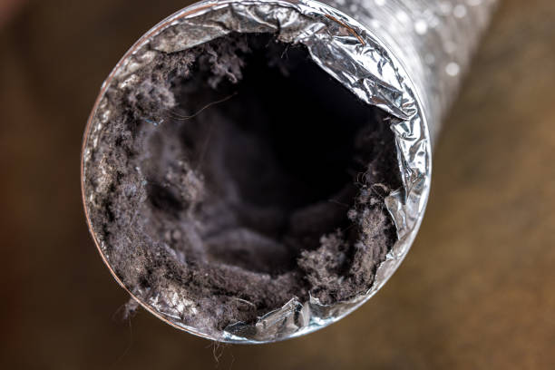 Best Air Duct Cleaning Company Near Me  in New Carlisle, OH